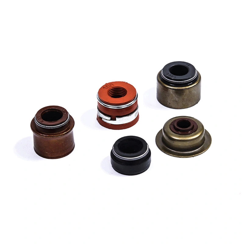 Sceaux d'huile TCN avec sceau de squelette O-ring et laveuse combinée 10