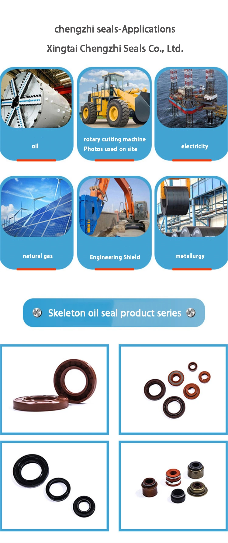 Sceaux d'huile avec différentes formes de lèvres pour diverses applications industrielles 0