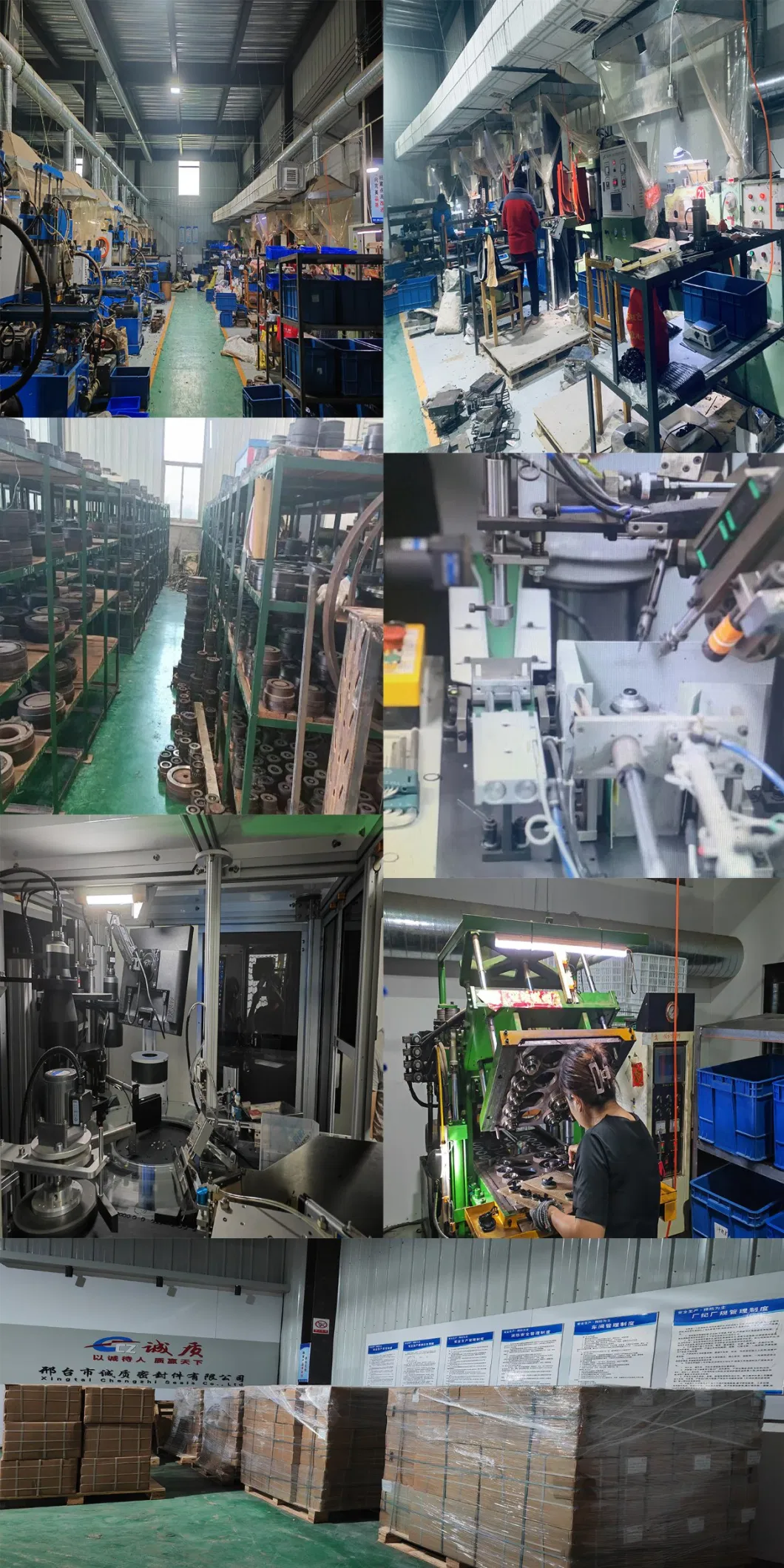 Sceaux d'huile d'absorption des chocs pour différentes applications industrielles et environnements avec des normes 17
